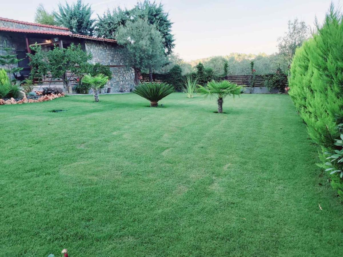 Dimitris' Villas - Villa 3 Ormos Panagias Dış mekan fotoğraf