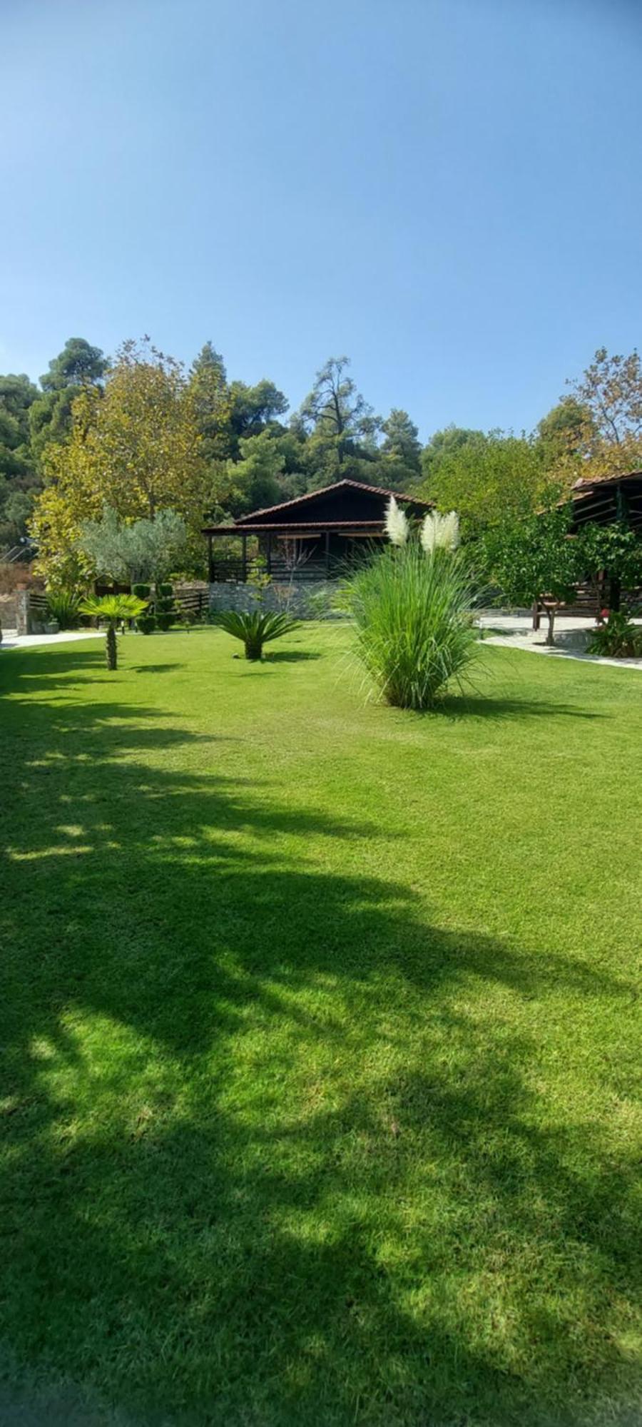 Dimitris' Villas - Villa 3 Ormos Panagias Dış mekan fotoğraf